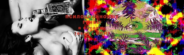 синтетический гашиш Алексин