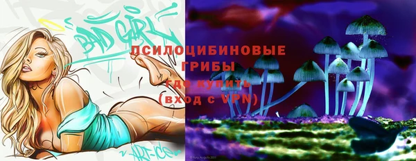 дурь Алексеевка