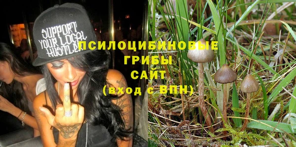 дурь Алексеевка