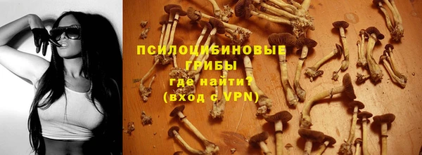 дурь Алексеевка