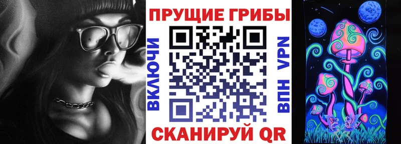 закладка  Бежецк  Псилоцибиновые грибы ЛСД 